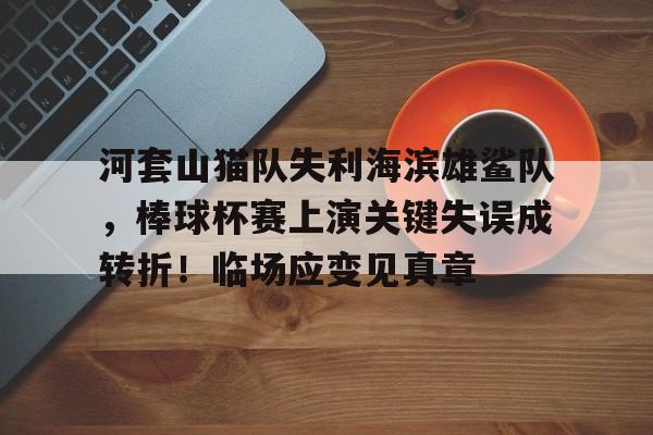 河套山猫队失利海滨雄鲨队，棒球杯赛上演关键失误成转折！临场应变见真章的简单介绍