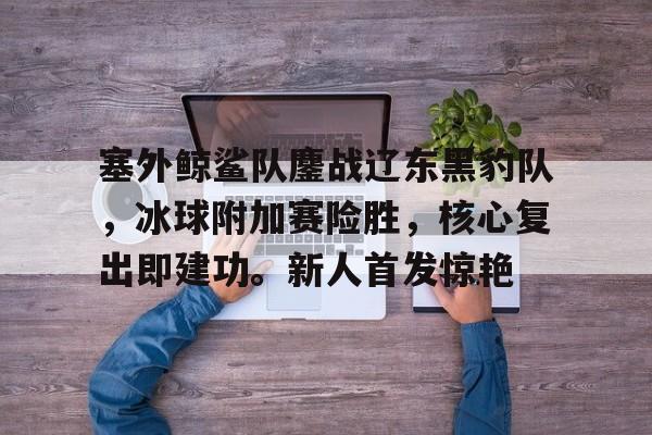 包含塞外鲸鲨队鏖战辽东黑豹队，冰球附加赛险胜，核心复出即建功。新人首发惊艳的词条-九游(中国)