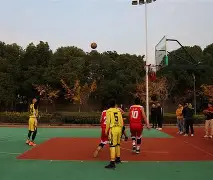板球夜战：云贵天虎队强势横扫渝州霹雳队，速度优势明显赛后更衣室沸腾